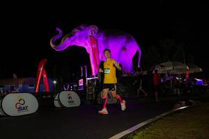 BIB: 
                            <button type="button" onclick="openModal(26543962)" class="btn btn-primary btn-sm float-right btn-popup" data-toggle="modal" data-target=".modal-high-quality">
                        <i class="fas fa-shopping-cart"></i> Add to Cart
                    </button>
                                            <button type="button" onclick="isThisMe(26543962, true)" class="btn btn-success btn-sm float-right btn-popup btn-isme hidden" data-toggle="tooltip" data-placement="bottom" title="นี่คือรูปของคุณใช่ไหม คลิกที่นี่เพื่อเอาเข้าอัลบั้ม">
                        <i class="fas fa-plus"></i> Add to album
                    </button>
                    <button type="button" onclick="isThisMe(26543962, false)" class="btn btn-warning btn-sm float-right btn-popup btn-isnotme hidden">
                        <i class="fas fa-ban"></i> Remove from album
                    </button>